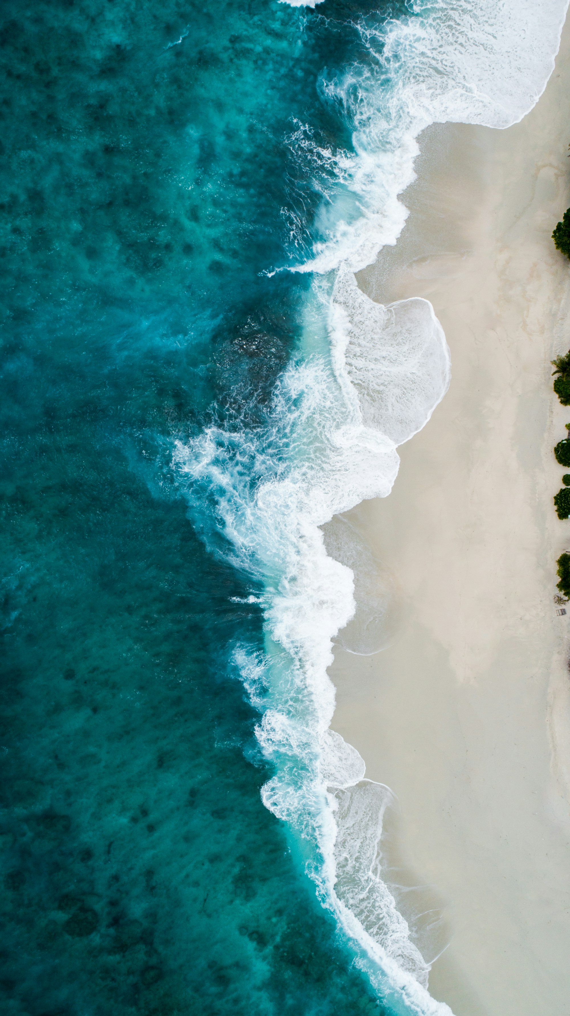 Travel advisor business growth assessment Aerial view of a turquoise shoreline